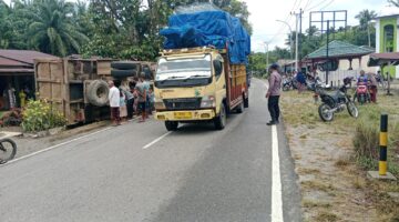 Truk Sawit Terbalik di Subulussalam, Personel Brimob Sigap Membantu Korban